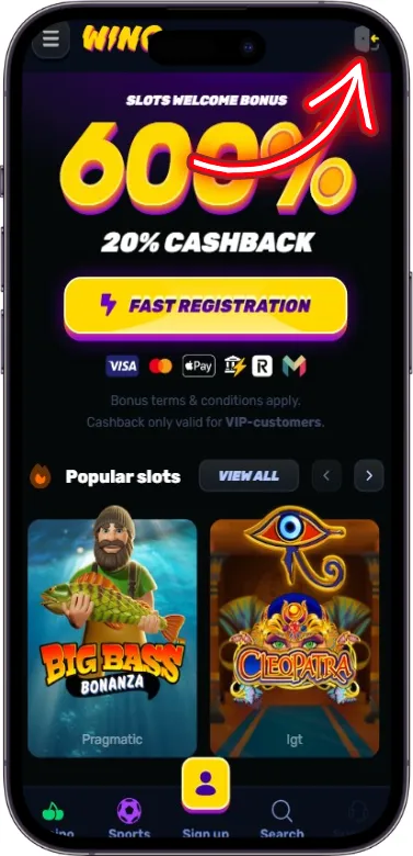 Wino Casino log in button